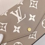 LV Multi Pochette Accessoires