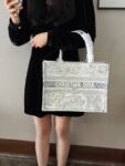 Dior's Book Tote handbag