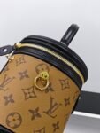 Louis Vuitton Petite Malle Souple handbag