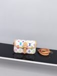Louis Vuitton Multi Pochette Accessories
