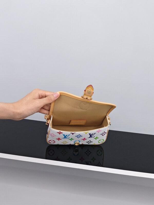 Louis Vuitton Multi Pochette Accessories