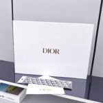 Dior's Book Tote handbag