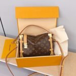 LV Side Trunk soft box bag
