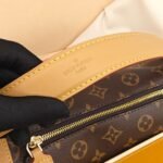 LV Side Trunk soft box bag