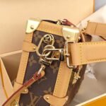 LV Side Trunk soft box bag