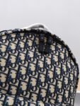 Dior Explorer Backpack
