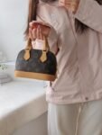 LV mini seashell bag