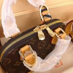 LV mini seashell bag