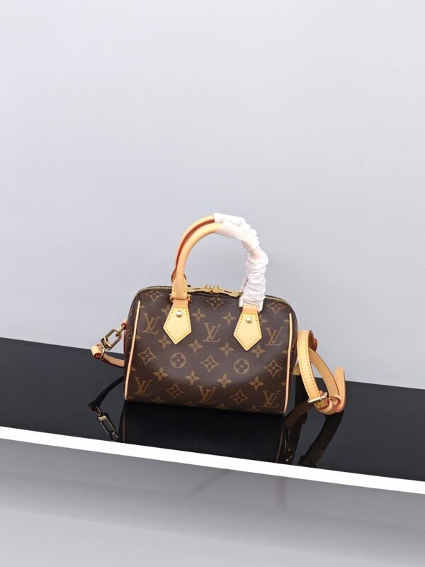 LV  ​Nano Speedy​