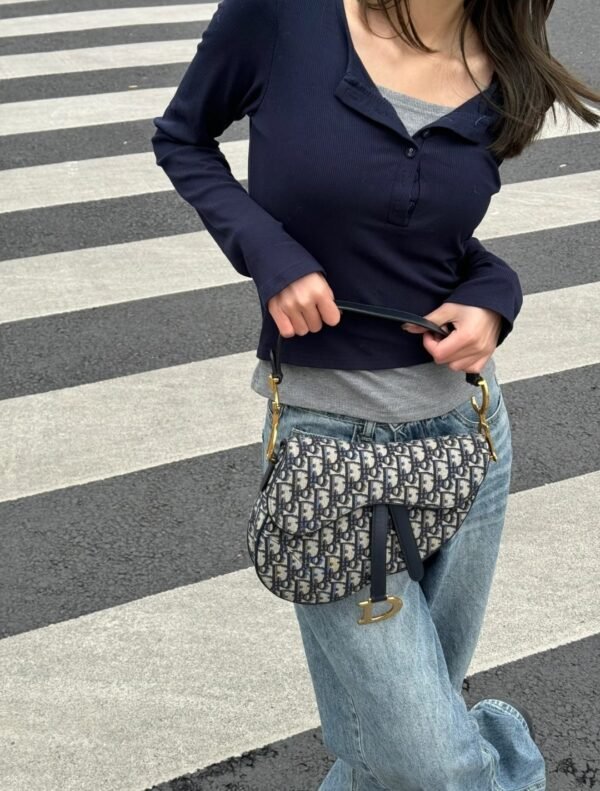Dior Saddle bag