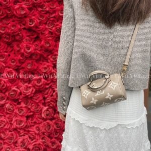 Louis Vuitton Nano Speedy