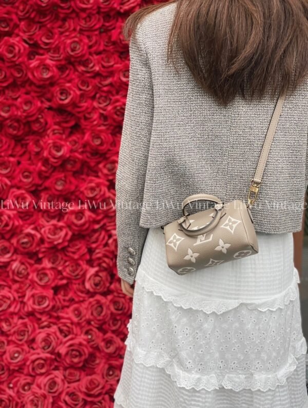 Louis Vuitton Nano Speedy